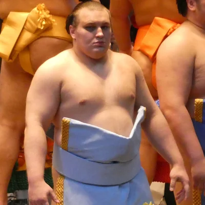 安青錦　新大の顔写真