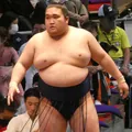 豪ノ山　登輝の顔写真