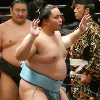 琴勝峰　吉成の顔写真