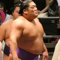 尊富士　弥輝也の顔写真