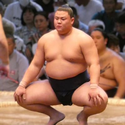 義ノ富士　直哉の顔写真